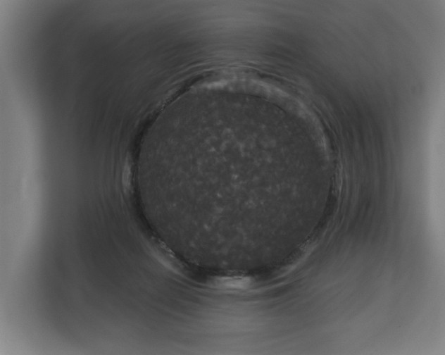 X0000113080266200909041135