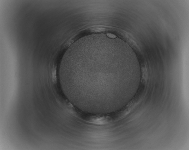 X0000113080267200909041135