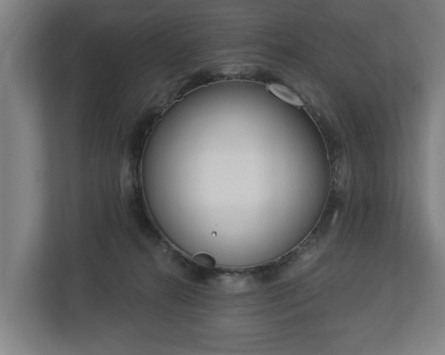 X0000113080272200909041135