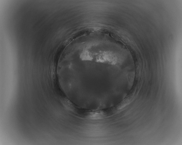 X0000113080274200909041135