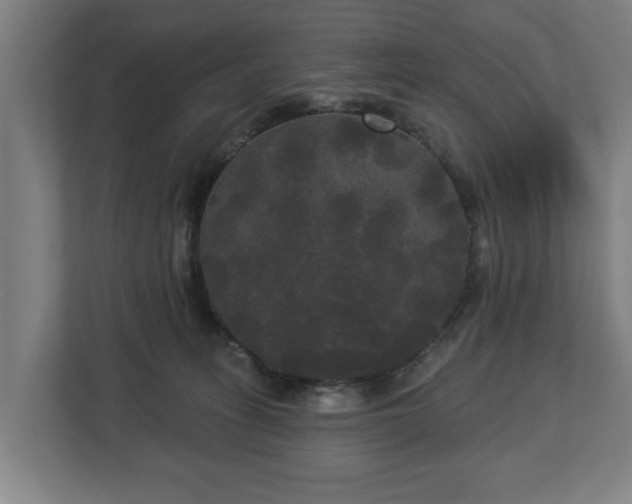 X0000113080275200909041135