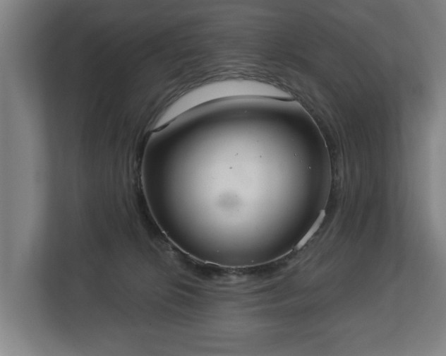 X0000113080276200909041135