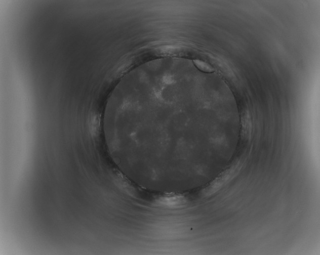 X0000113080278200909041135