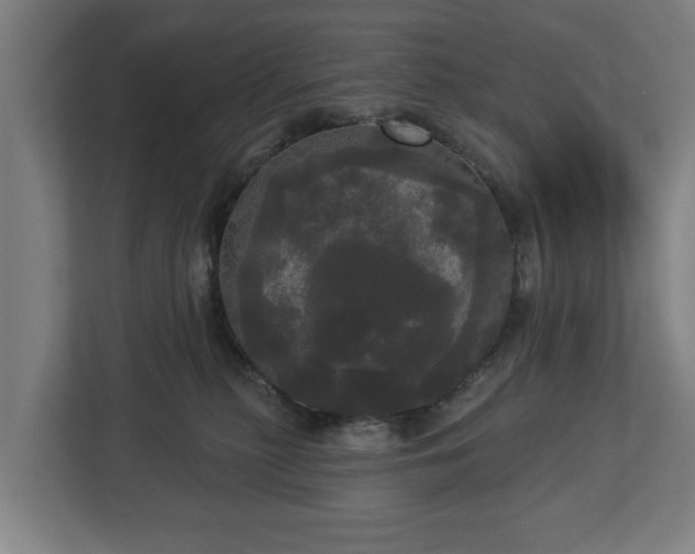 X0000113080279200909041135