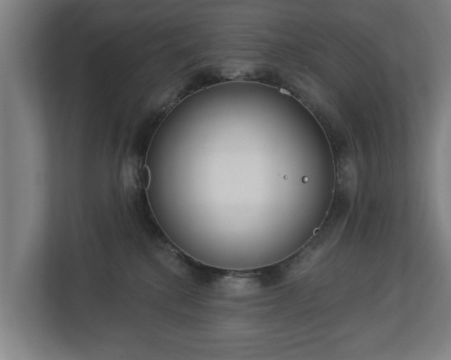 X0000113080280200909041135