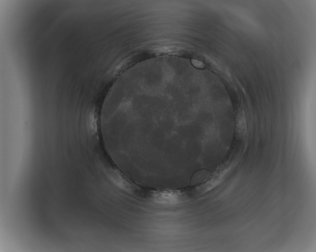 X0000113080282200909041135