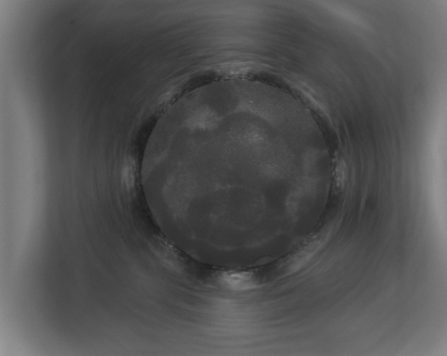 X0000113080283200909041135