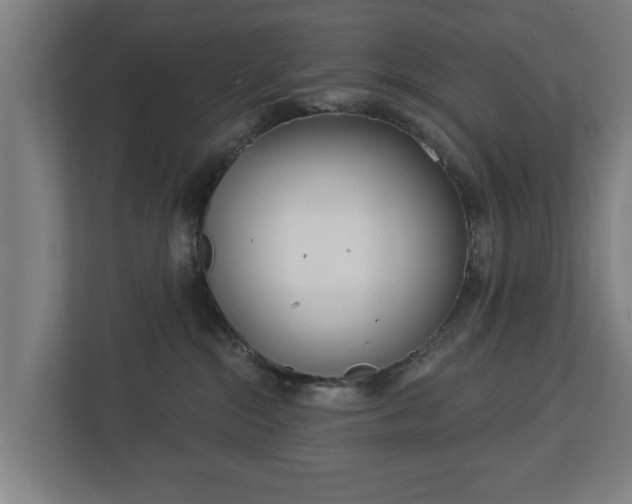 X0000113080284200909041135