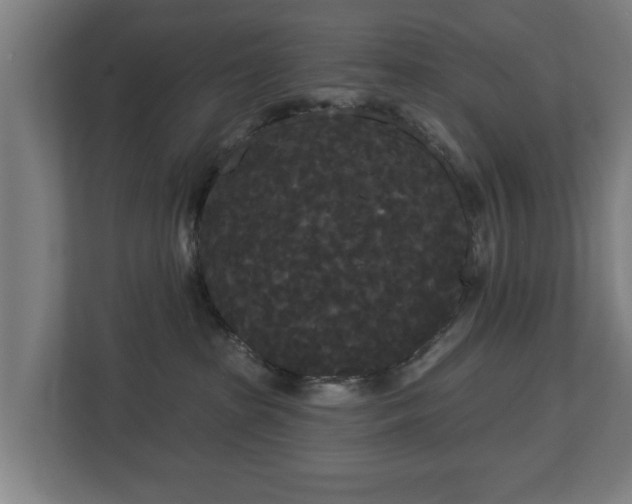 X0000113080285200909041135