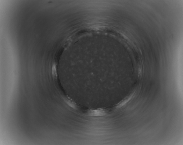 X0000113080286200909041135