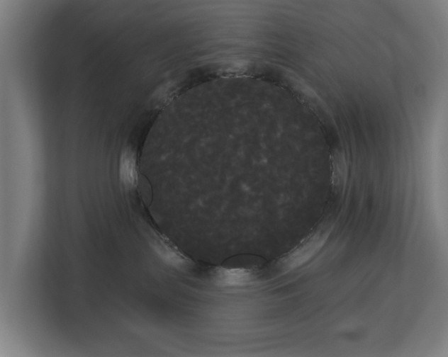 X0000113080287200909041135