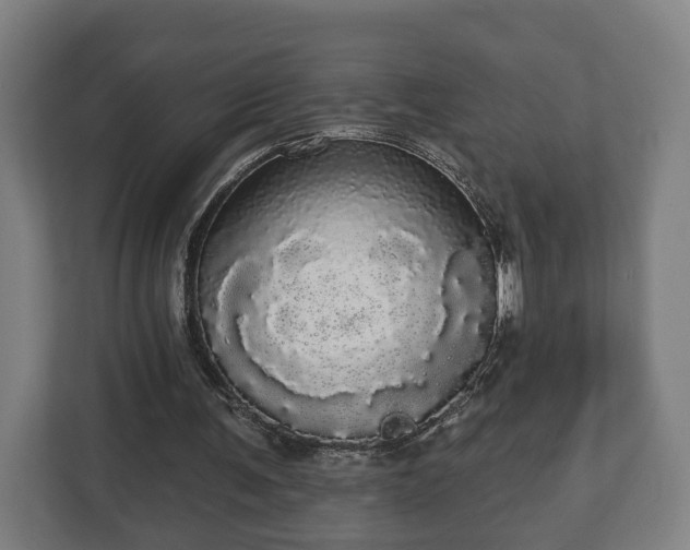 X0000113080291200909041134