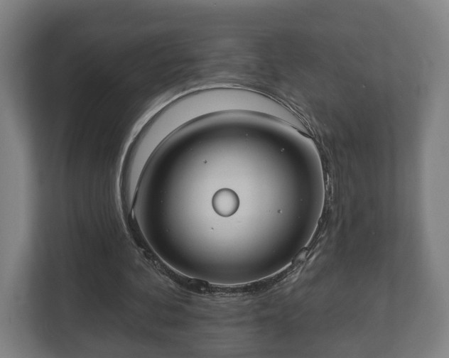 X0000113080292200909041134