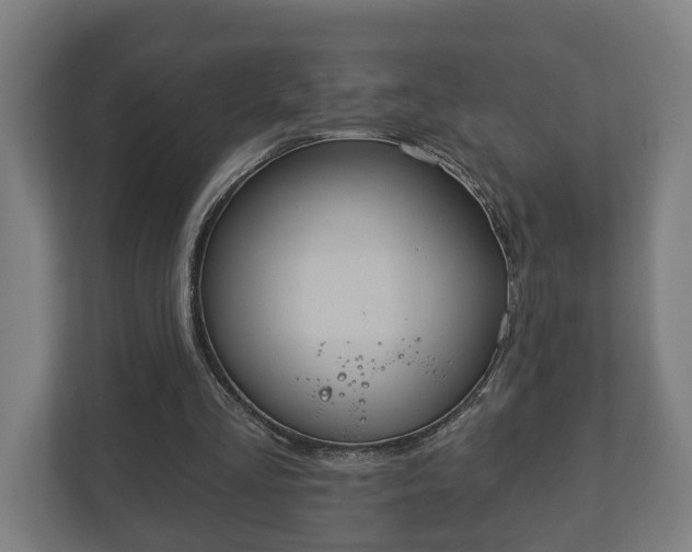 X0000113080293200909041134