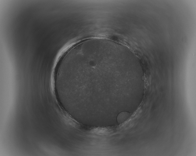 X0000113080294200909041134