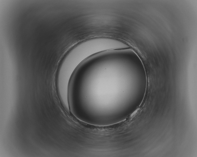 X0000113080297200909041134