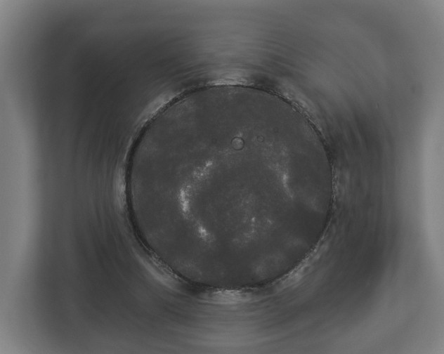 X0000113080298200909041134