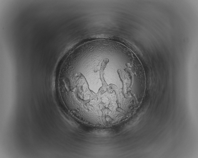 X0000113080299200909041134