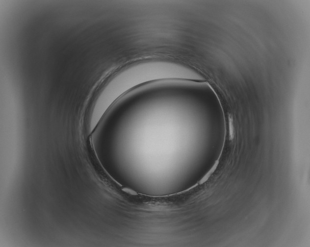 X0000113080300200909041134