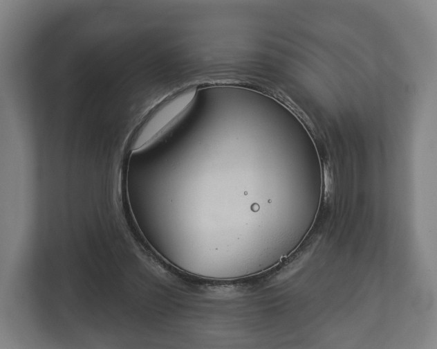 X0000113080301200909041134