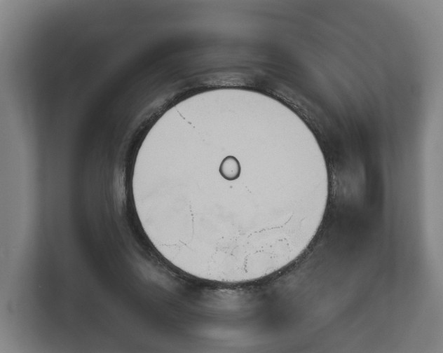 X0000113080302200909041134