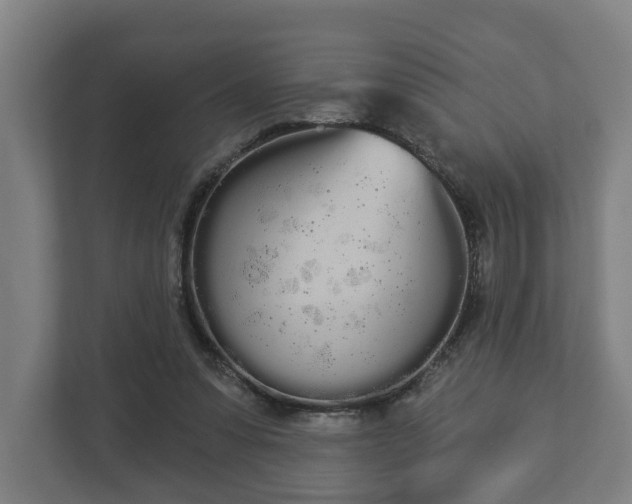 X0000113080303200909041134