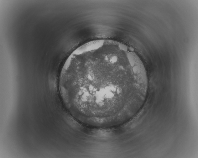 X0000113080305200909041134