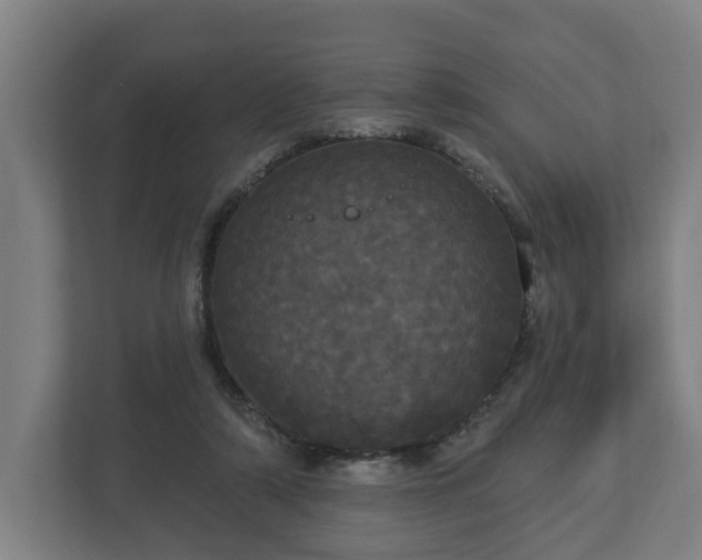 X0000113080306200909041134