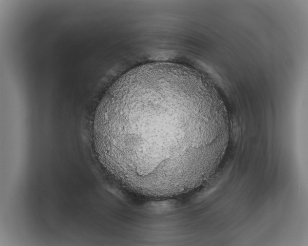 X0000113080307200909041134