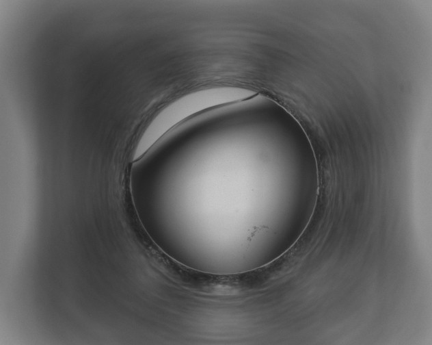 X0000113080308200909041134