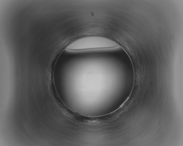 X0000113080309200909041134