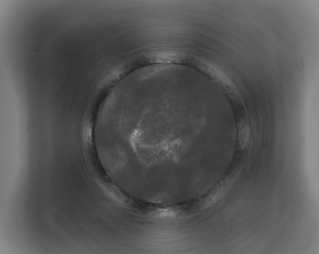 X0000113080310200909041134