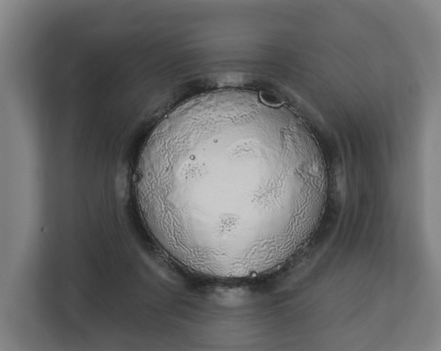 X0000113080311200909041134