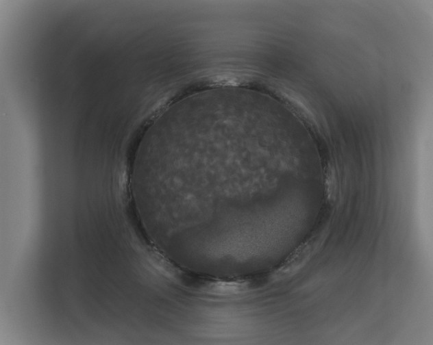 X0000113080314200909041134