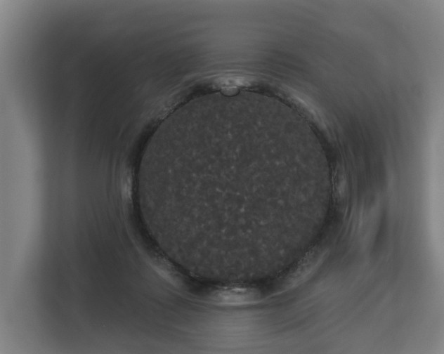 X0000113080315200909041134