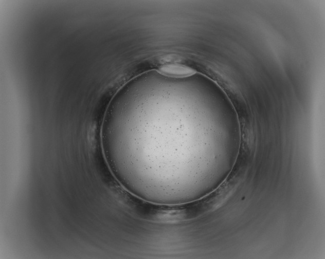 X0000113080319200909041134