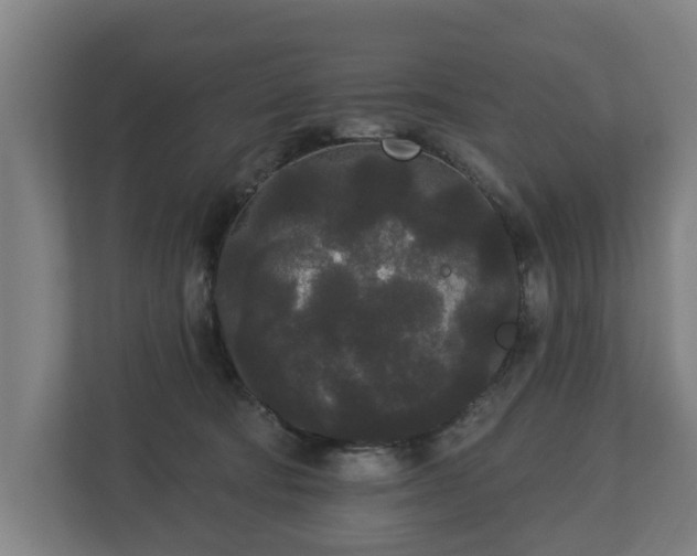 X0000113080322200909041134