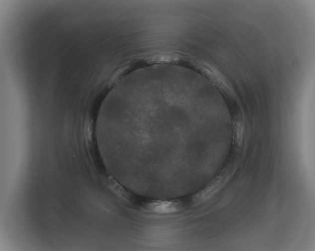 X0000113080326200909041134