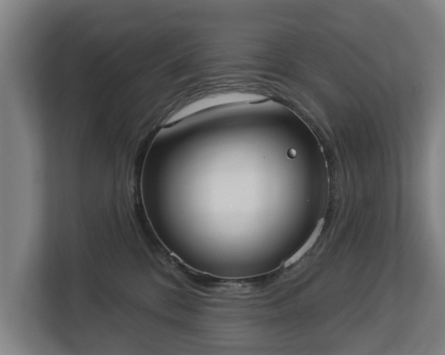 X0000113080328200909041134