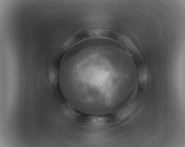 X0000113080332200909041134