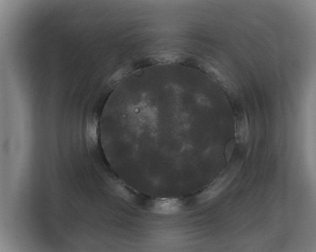 X0000113080334200909041134