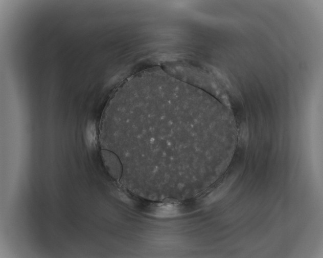 X0000113080335200909041134