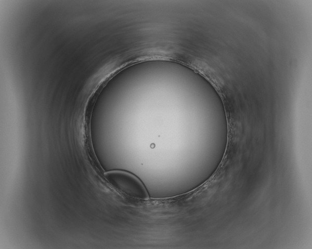 X0000113080338200909041133