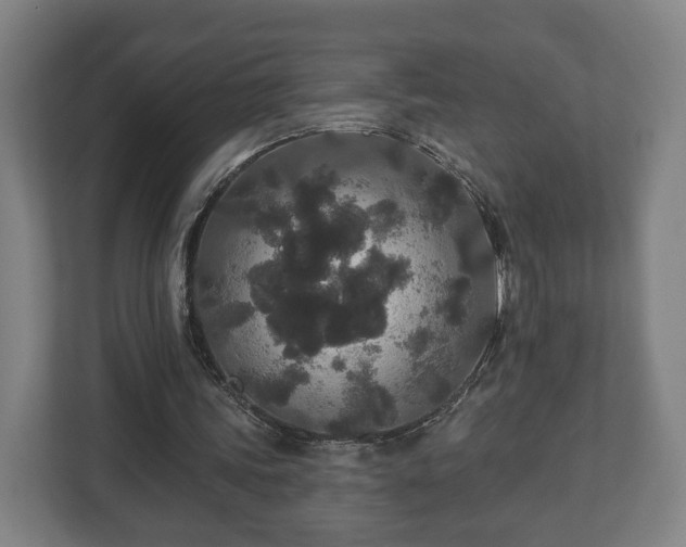 X0000113080339200909041133