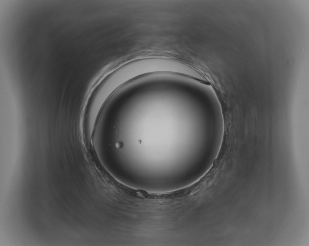 X0000113080340200909041133