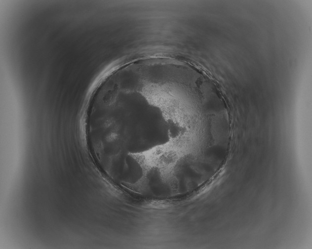 X0000113080341200909041133