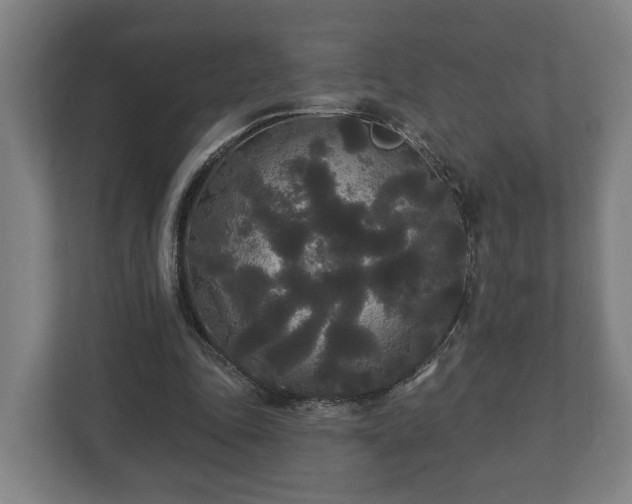 X0000113080343200909041133