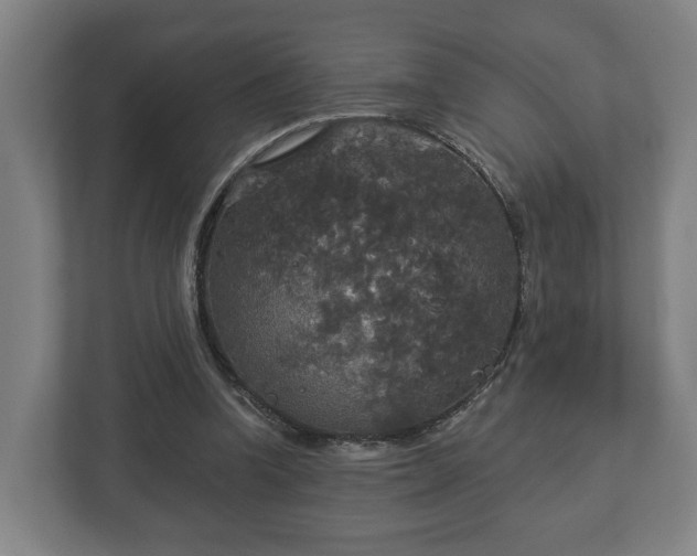 X0000113080346200909041133