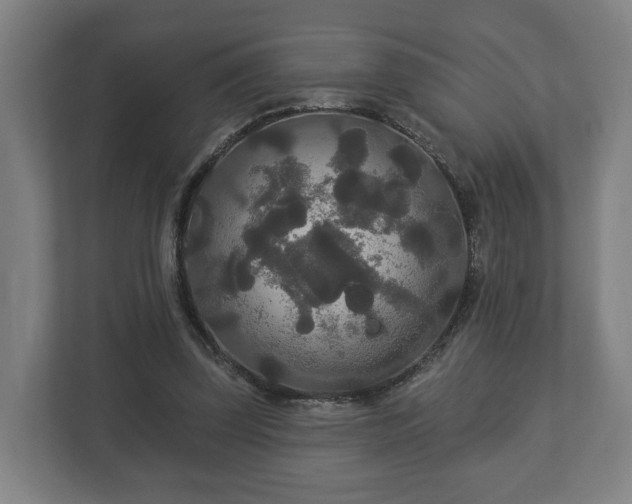 X0000113080347200909041133