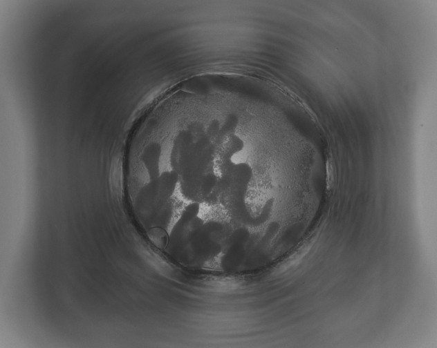 X0000113080349200909041133